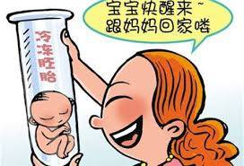 同志借卵代怀咨询哪家好